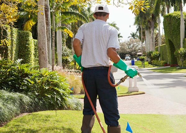 About Parkersburg WV Pest Control Pros